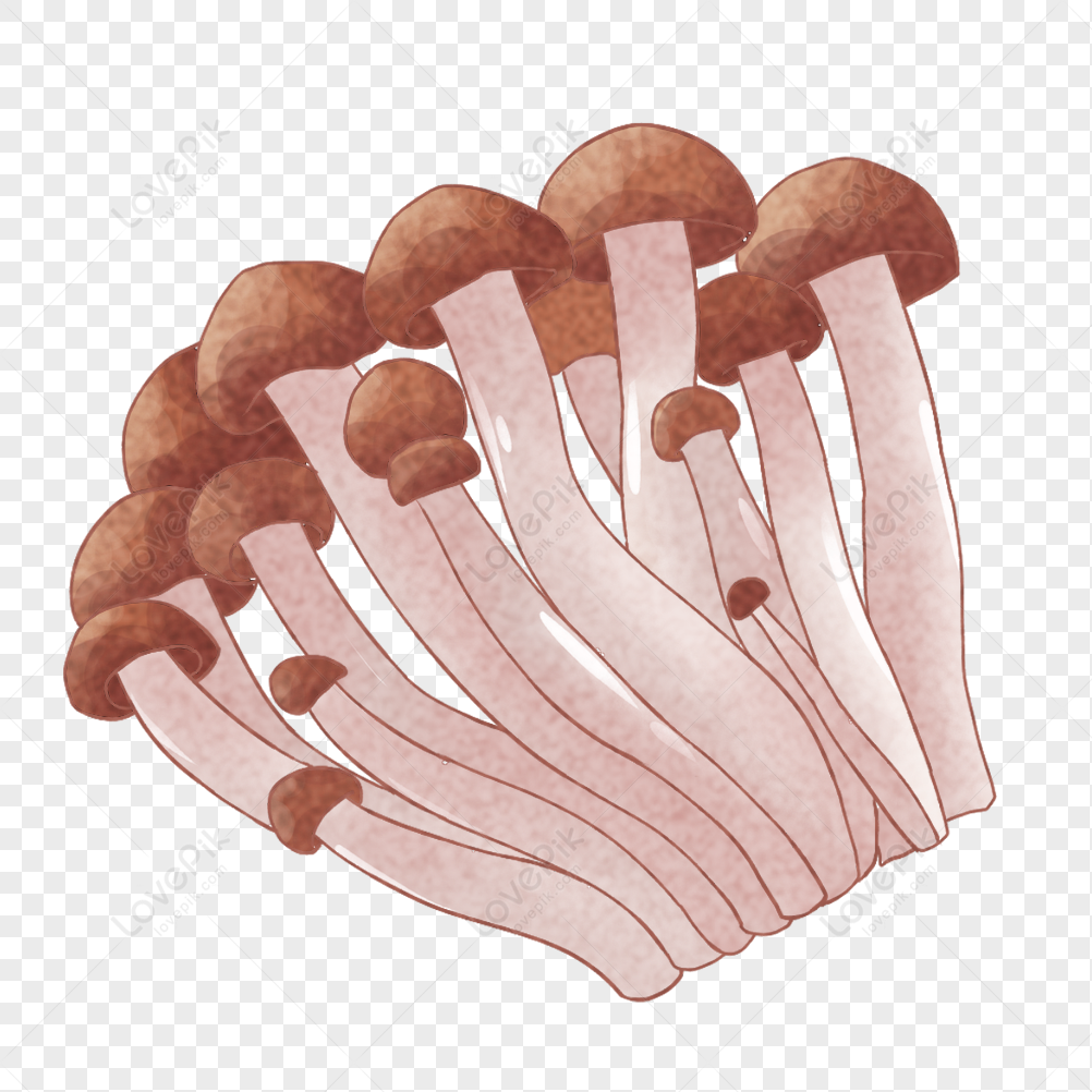 Mushroom flavor Taste of