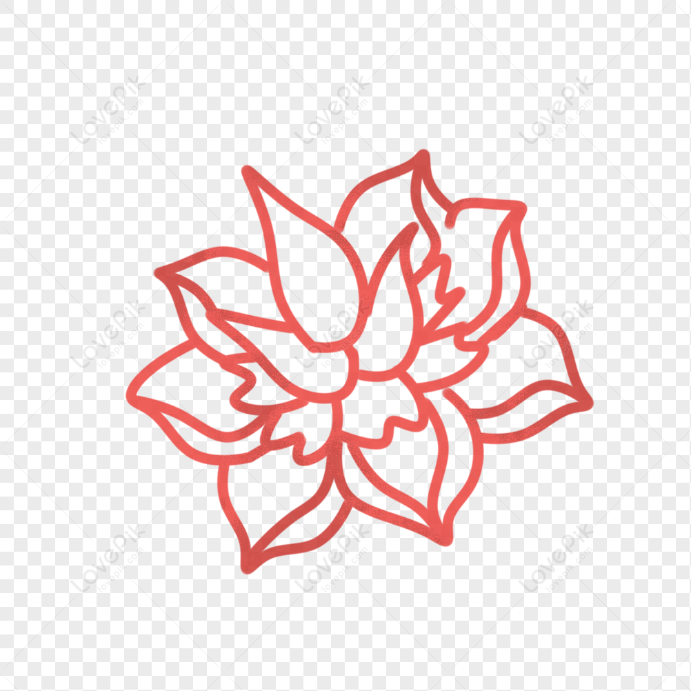 Flower Pattern, Flower White, Flower Vector, Flower Light PNG Free ...