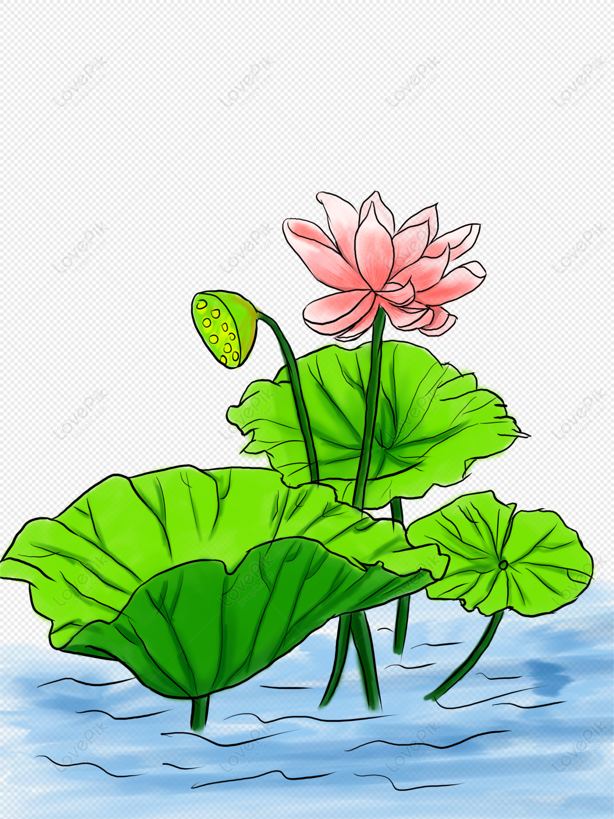 Lotus flower and lotus leaf set. Collection of side view lily leaves with  fishes koi. Hand drawn flat design style minimal vector illustration.  6054194 Vector Art at Vecteezy