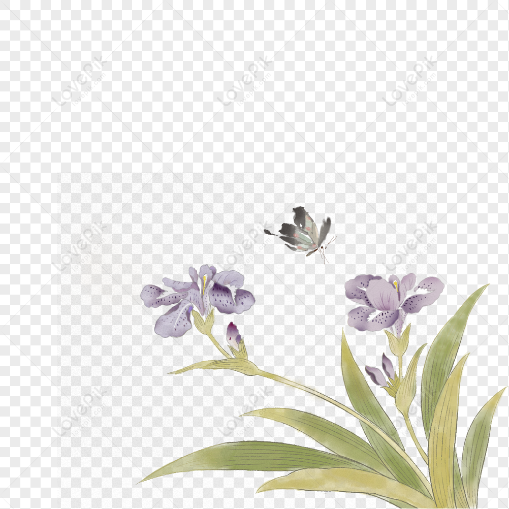 Orquidea PNG Imágenes Gratis - Lovepik