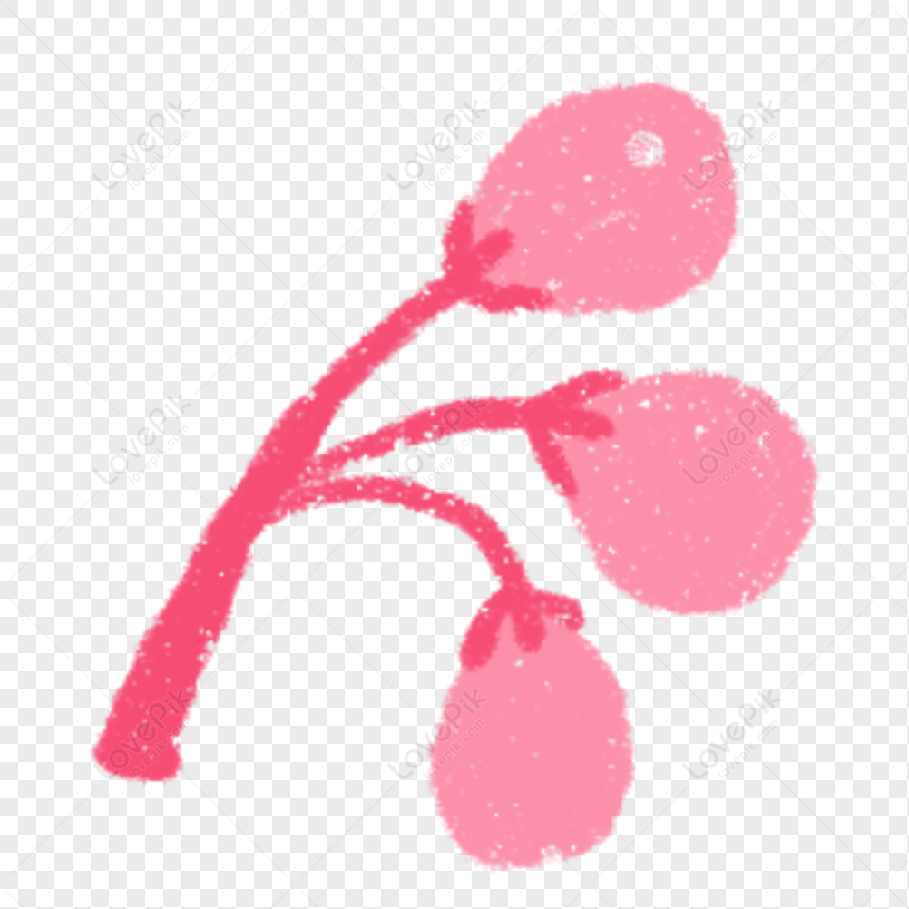 Icono De Durazno Rosa PNG Imágenes Gratis - Lovepik