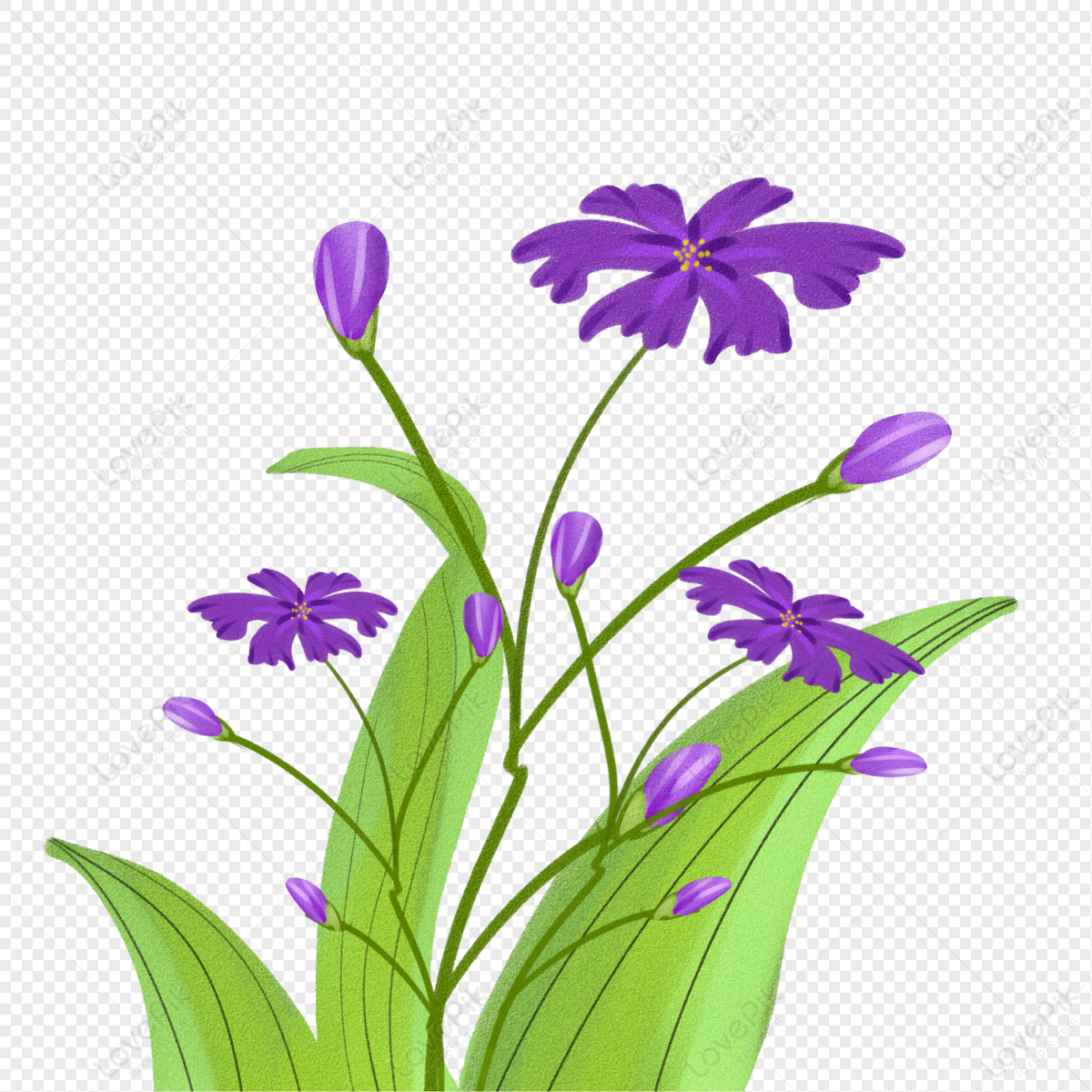 Flor Morada PNG Imágenes Gratis - Lovepik