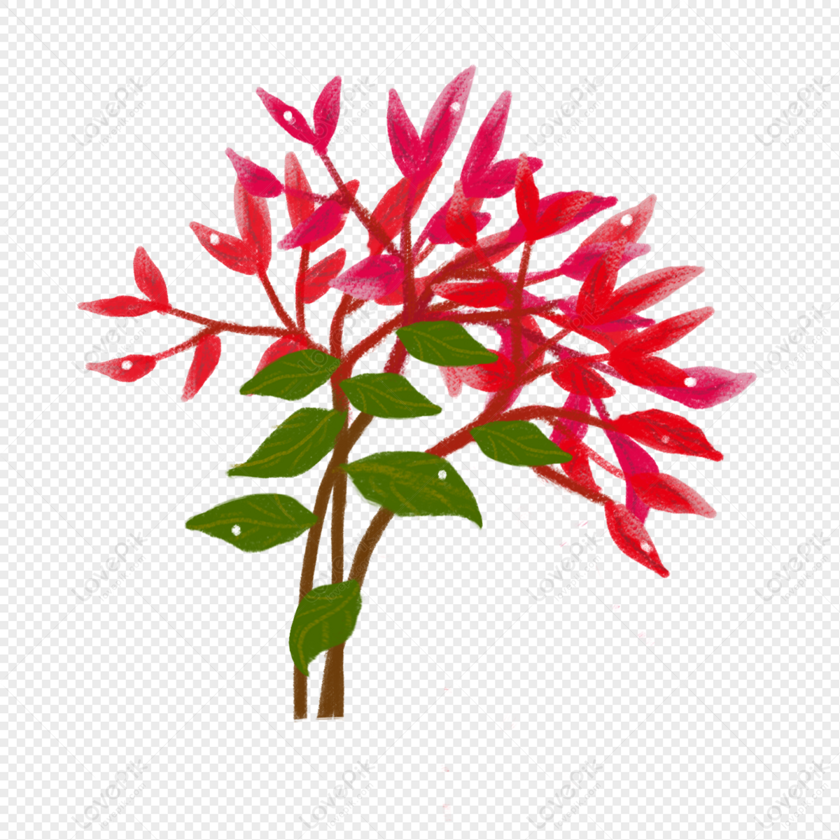 Árvore De Folhas Vermelhas PNG Imagens Gratuitas Para Download - Lovepik