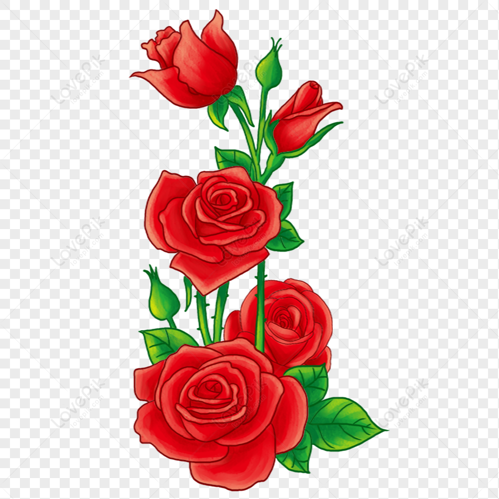 Hãy chiêm ngưỡng vẻ đẹp tinh tế của hoa hồng PNG trong hình ảnh này - một cách hoàn hảo để thưởng thức sự tươi mới và sắc nét của hoa.