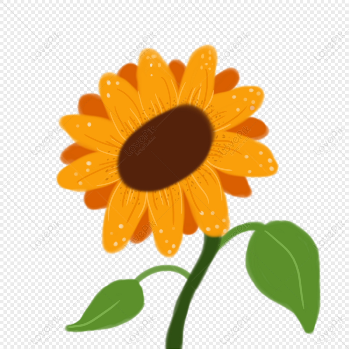 Sunflower, Cartoon Sunflower, Orange Sunflower, Sunflower Vector PNG Hd ...