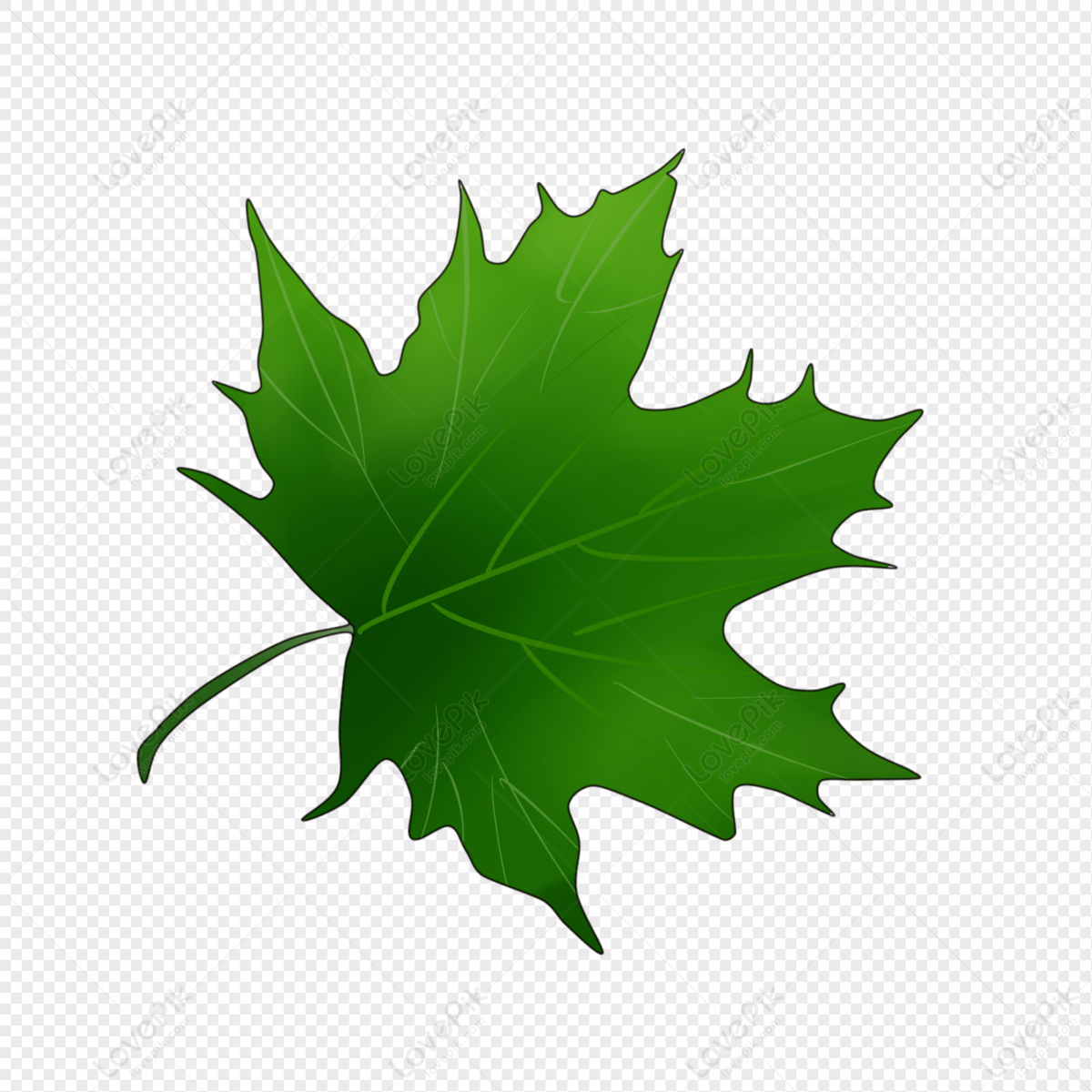 Lovepik Tree Leaf Shapes Image Png Image 401070949 Wh1200 