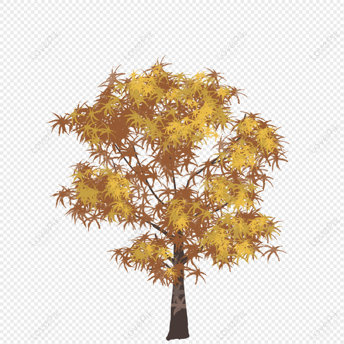 Xanthophyllum Hainanense PNG White Transparent And Clipart Image For ...