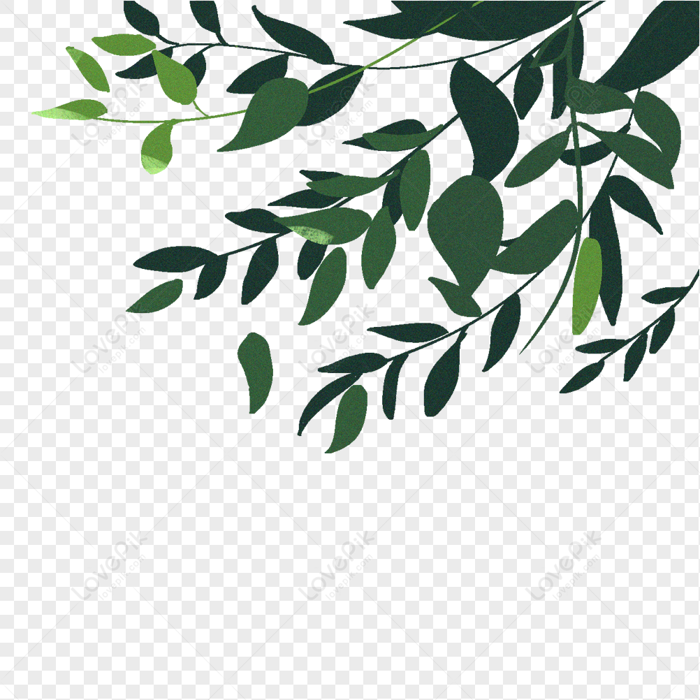 Botanical Leaves Materials Graphic PNG Transparent Background And Clipart  Image For Free Download - Lovepik | 401088550