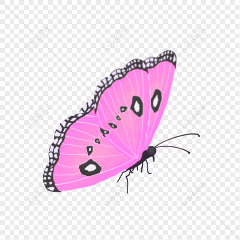 pink and black butterfly clipart png