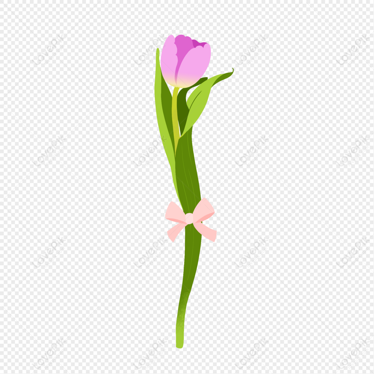 Hình ảnh Hoa Tulip Vẽ Tay PNG Miễn Phí Tải Về - Lovepik
