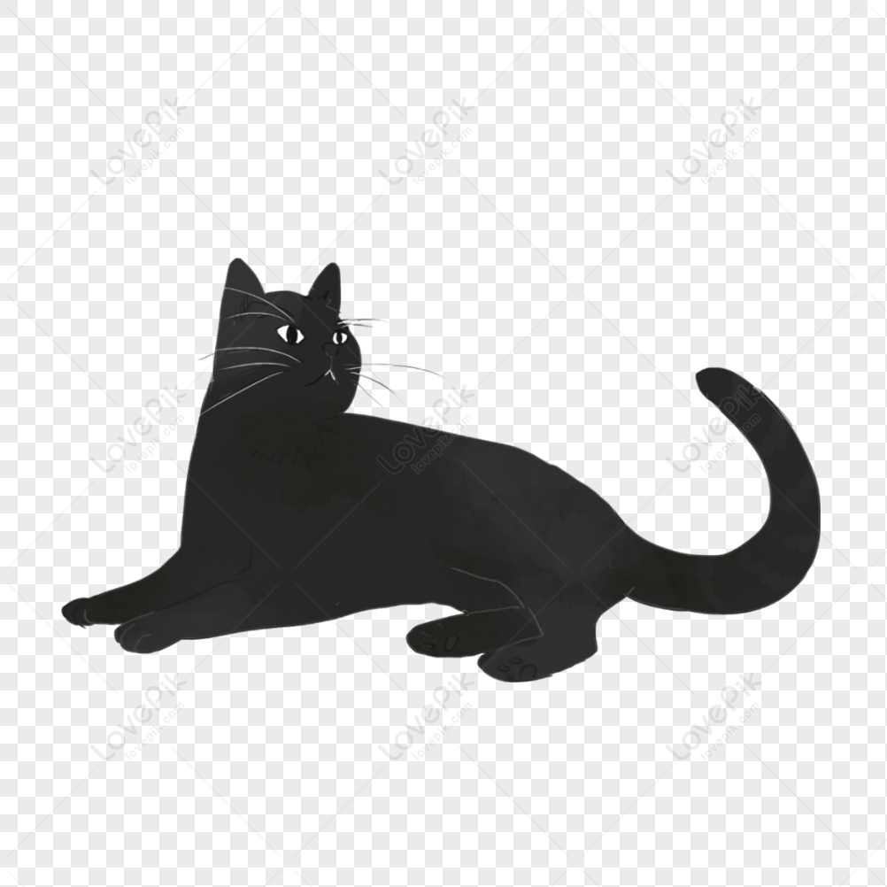 Kitten PNG Free Download And Clipart Image For Free Download - Lovepik ...