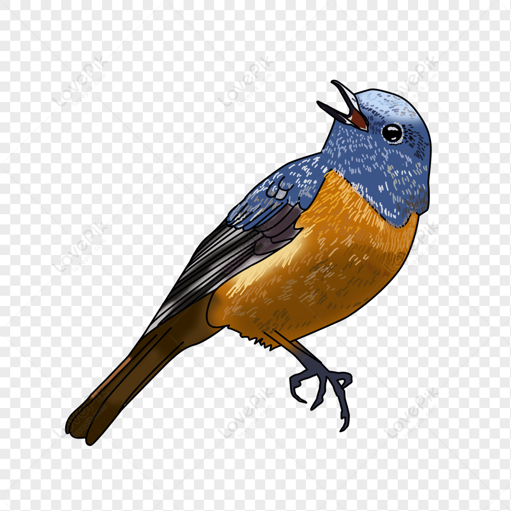 Little Bird, Blue Dark, Dark Orange, Blue Orange PNG White Transparent ...