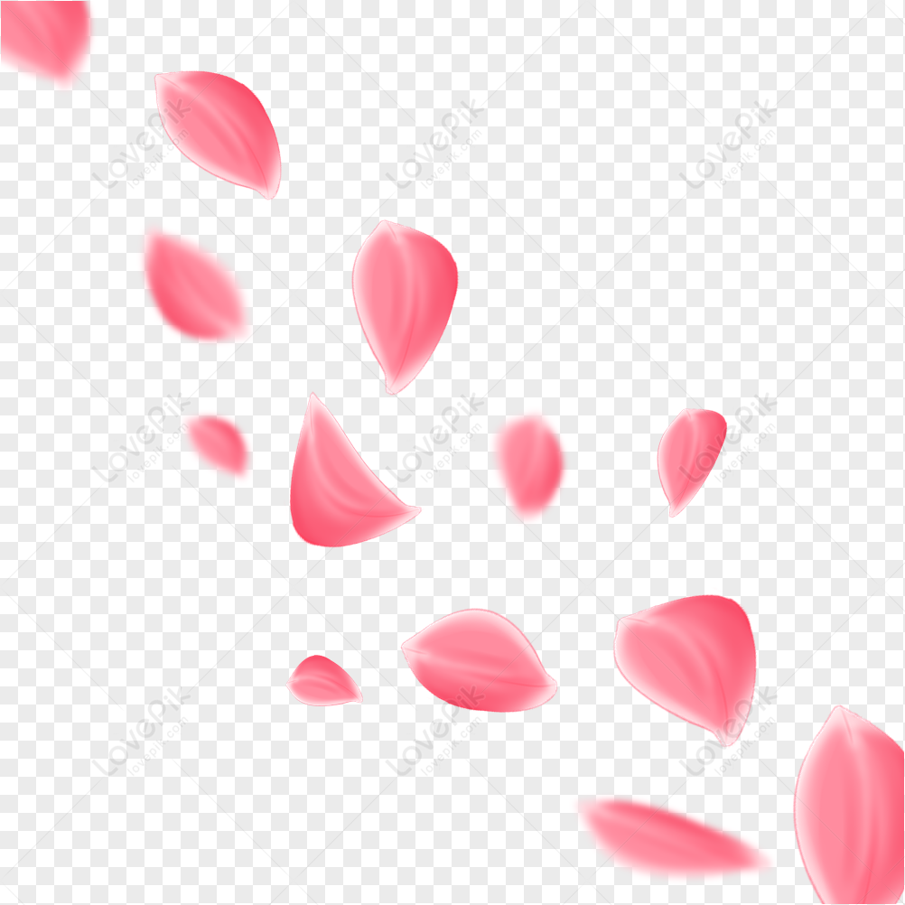 Pink Petal PNG Transparent Images Free Download, Vector Files