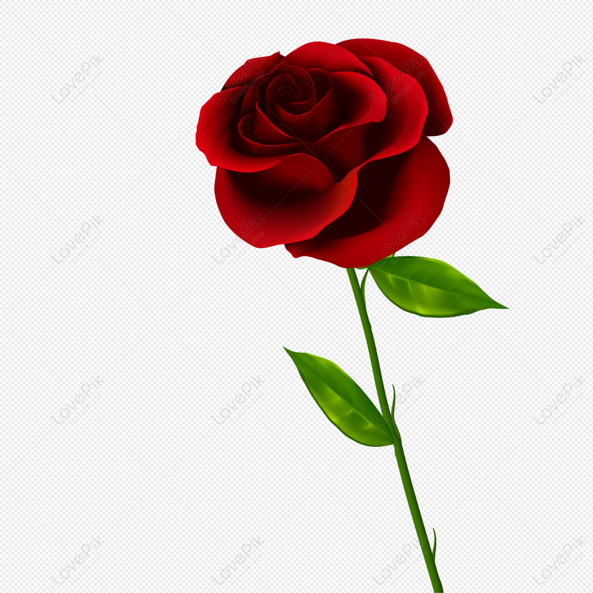 A Rose PNG Transparent Image And Clipart Image For Free Download - Lovepik  | 401115847