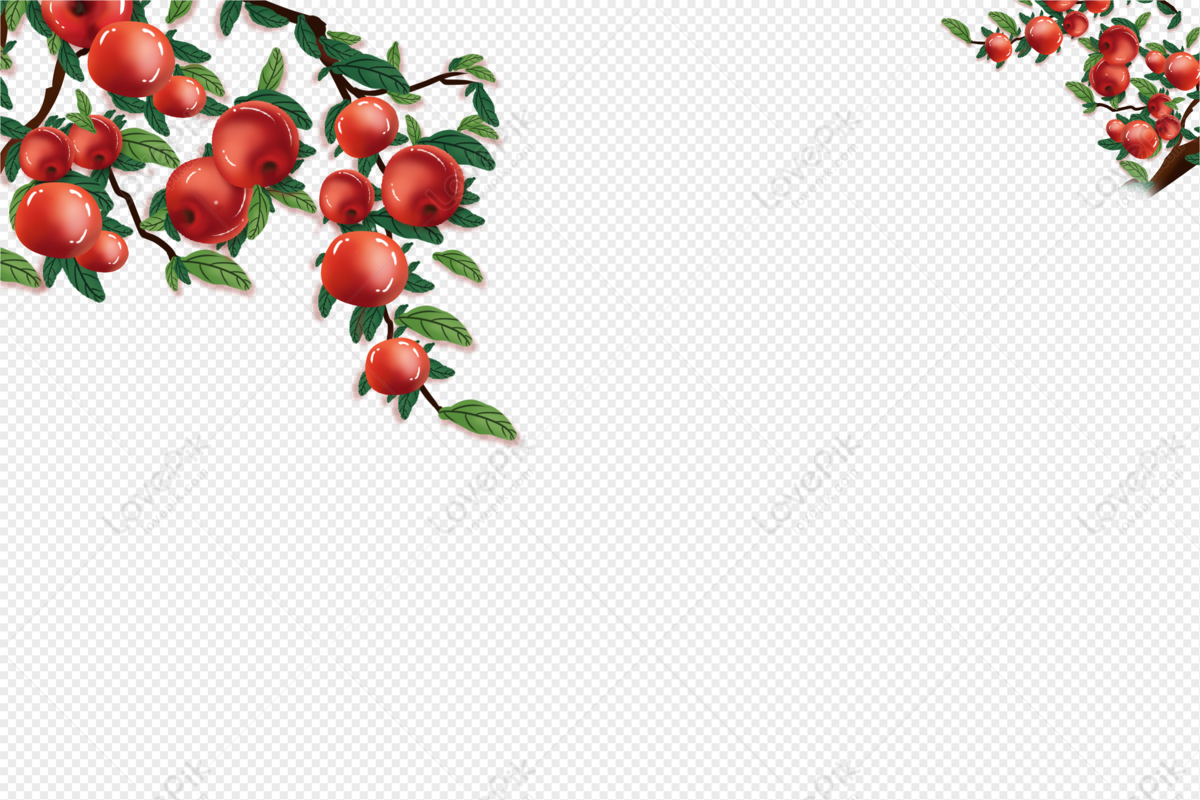 Apple, Red White, Decorative White, Apple Red PNG Hd Transparent ...