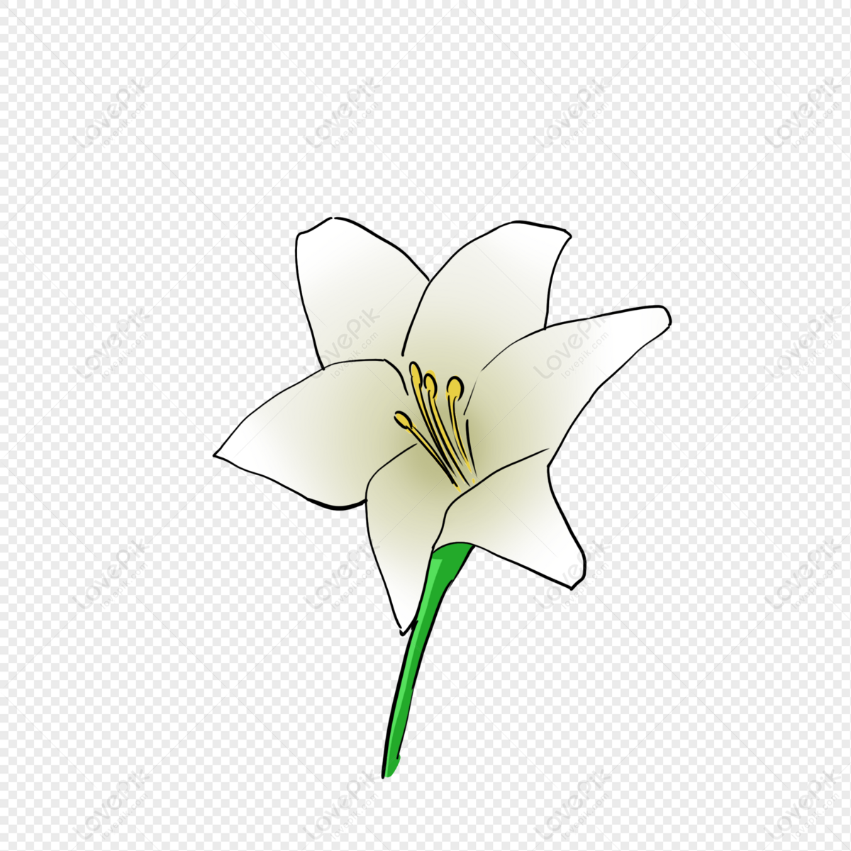 Bright White Flowers PNG Images With Transparent Background | Free ...