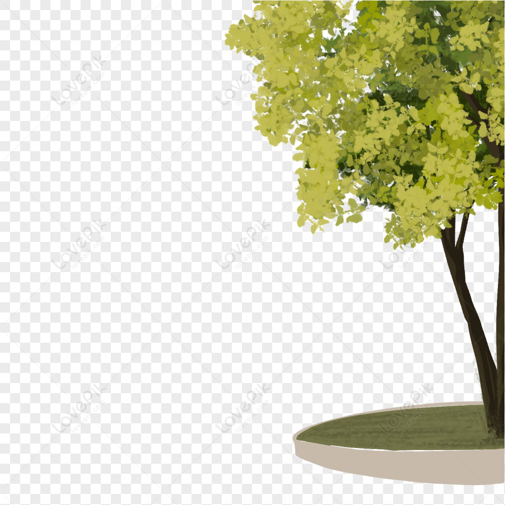 Green Trees PNG Picture And Clipart Image For Free Download - Lovepik |  401104665