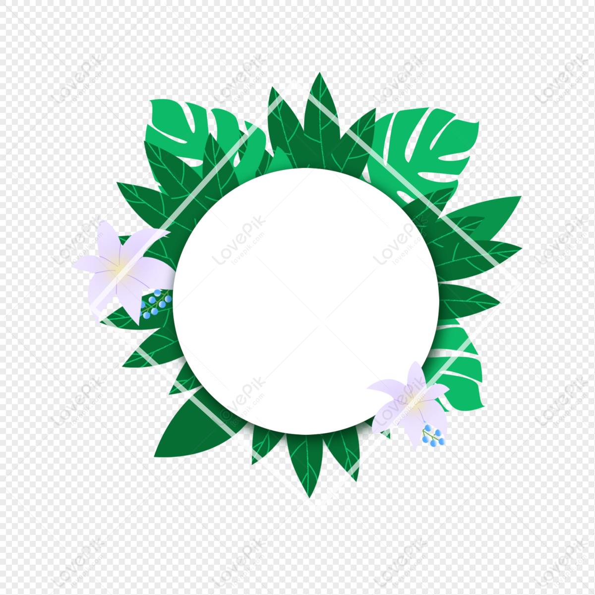 Lily Green Plant Border PNG Transparent Background And Clipart Image ...