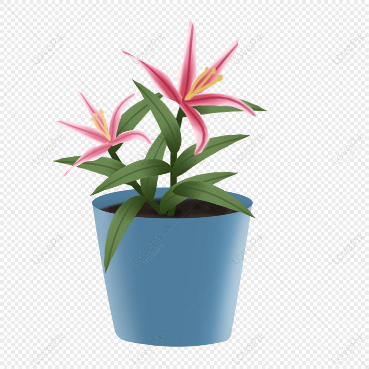 Lily, Dark Flower, Dark Light, Pink Plant PNG Free Download And Clipart ...