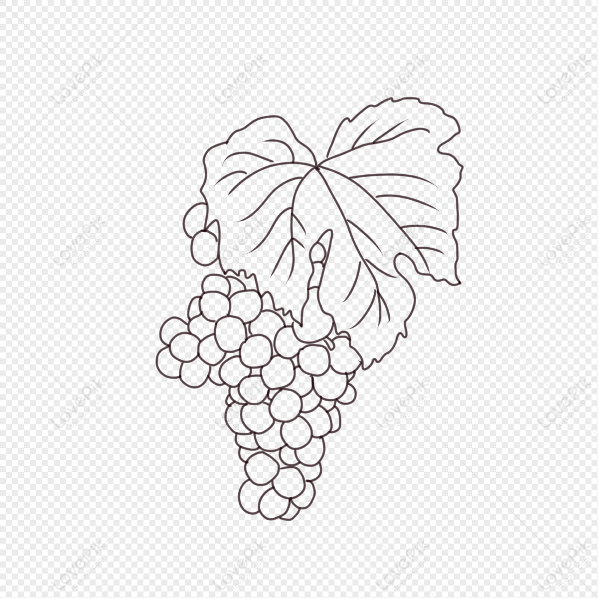 Line drawing of a grape in pencil style on Craiyon