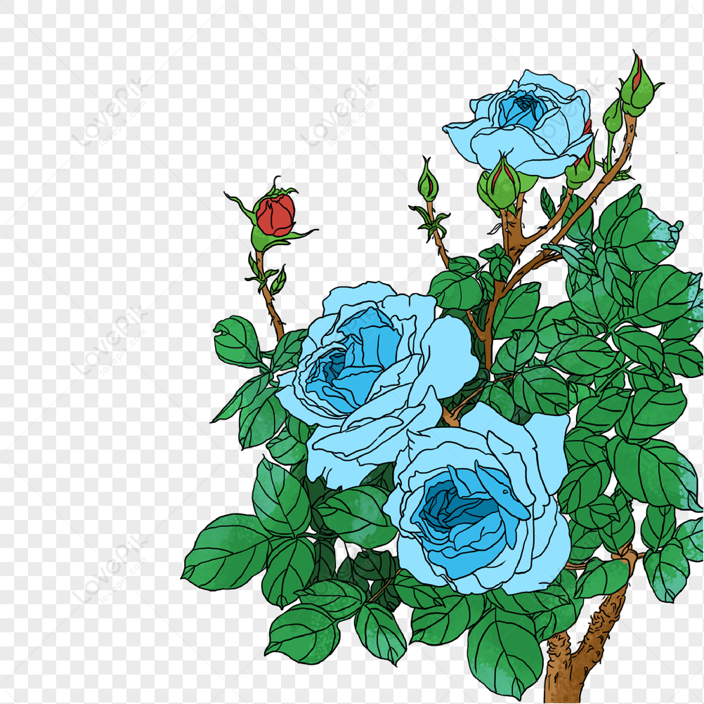 rose-flowers-png-picture-and-clipart-image-for-free-download-lovepik