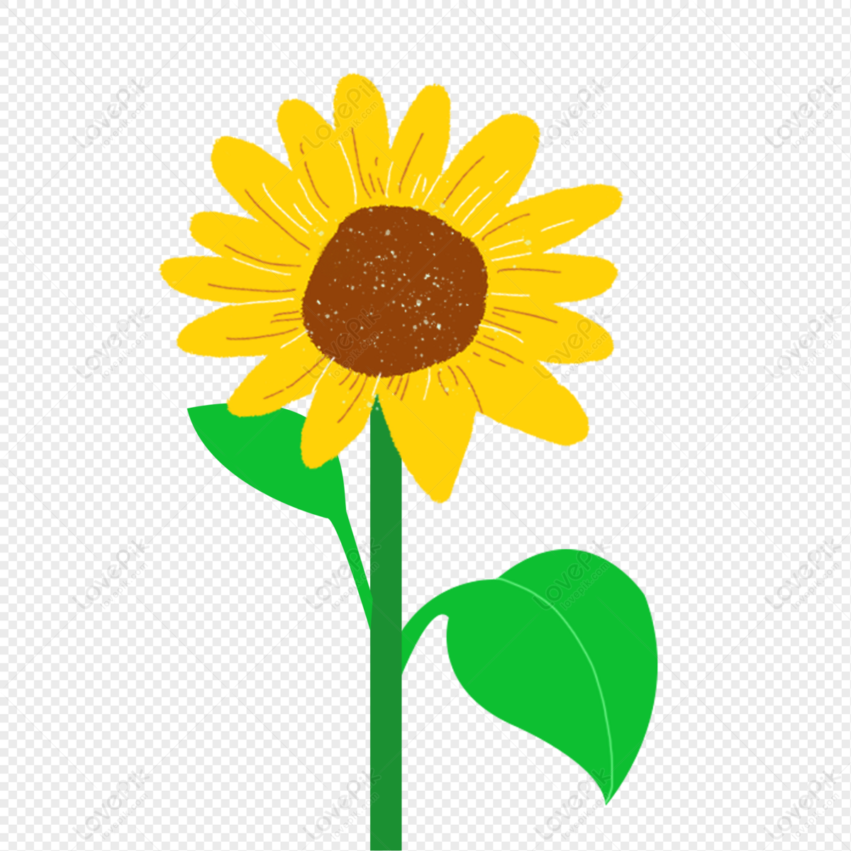 Sunflower, Cartoon Clipart, Flower Green, Cartoon Sunflower PNG Picture ...