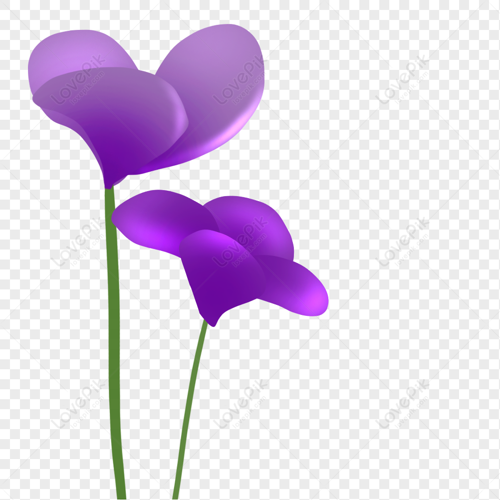 Elemento De Flor Violeta PNG Imagens Gratuitas Para Download - Lovepik