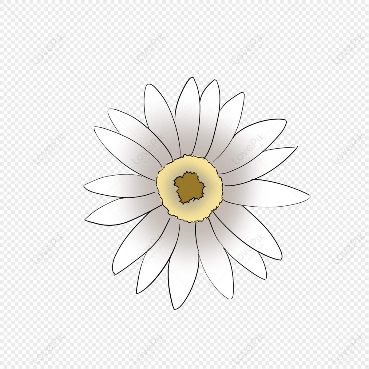 White Flower Hand Painted Cartoon PNG Transparent Image And Clipart Image  For Free Download - Lovepik | 401114347