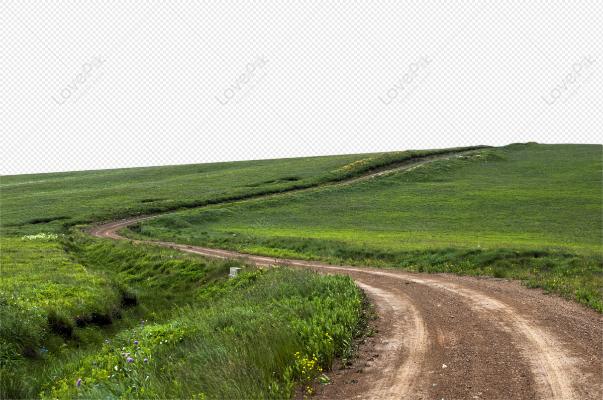 Xinjiang grassland road, field grass, green road, grassland png hd transparent image