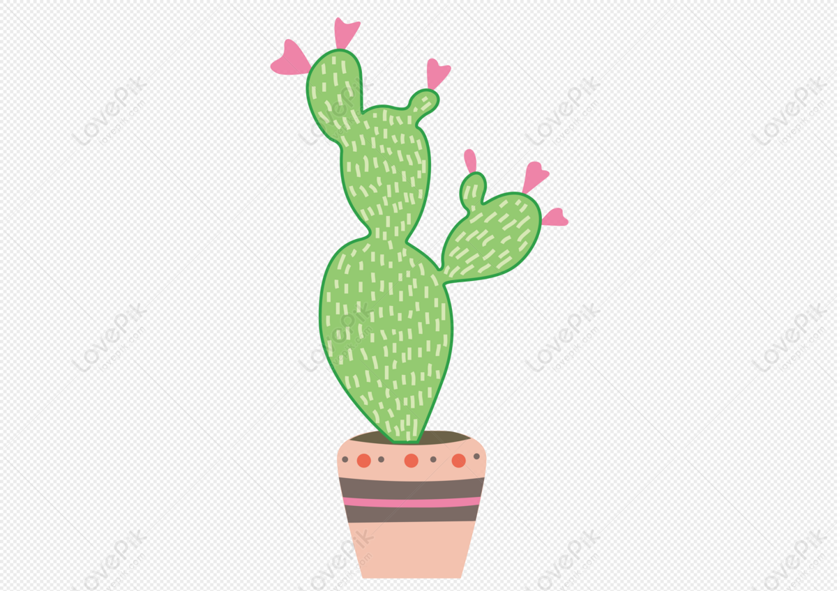 Dibujos Animados Minimalista Flor Planta Cactus PNG Imágenes Gratis -  Lovepik