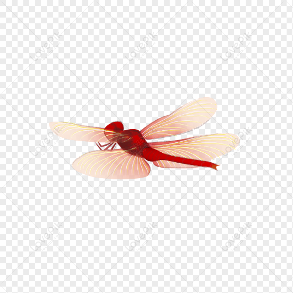 Flying Dragonfly Free PNG And Clipart Image For Free Download - Lovepik ...