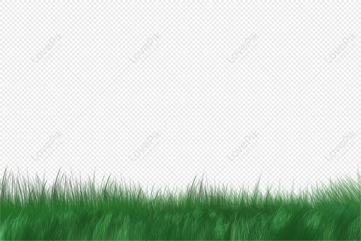 Hình ảnh cỏ xanh | Thư viện stock vector đẹp miễn phí