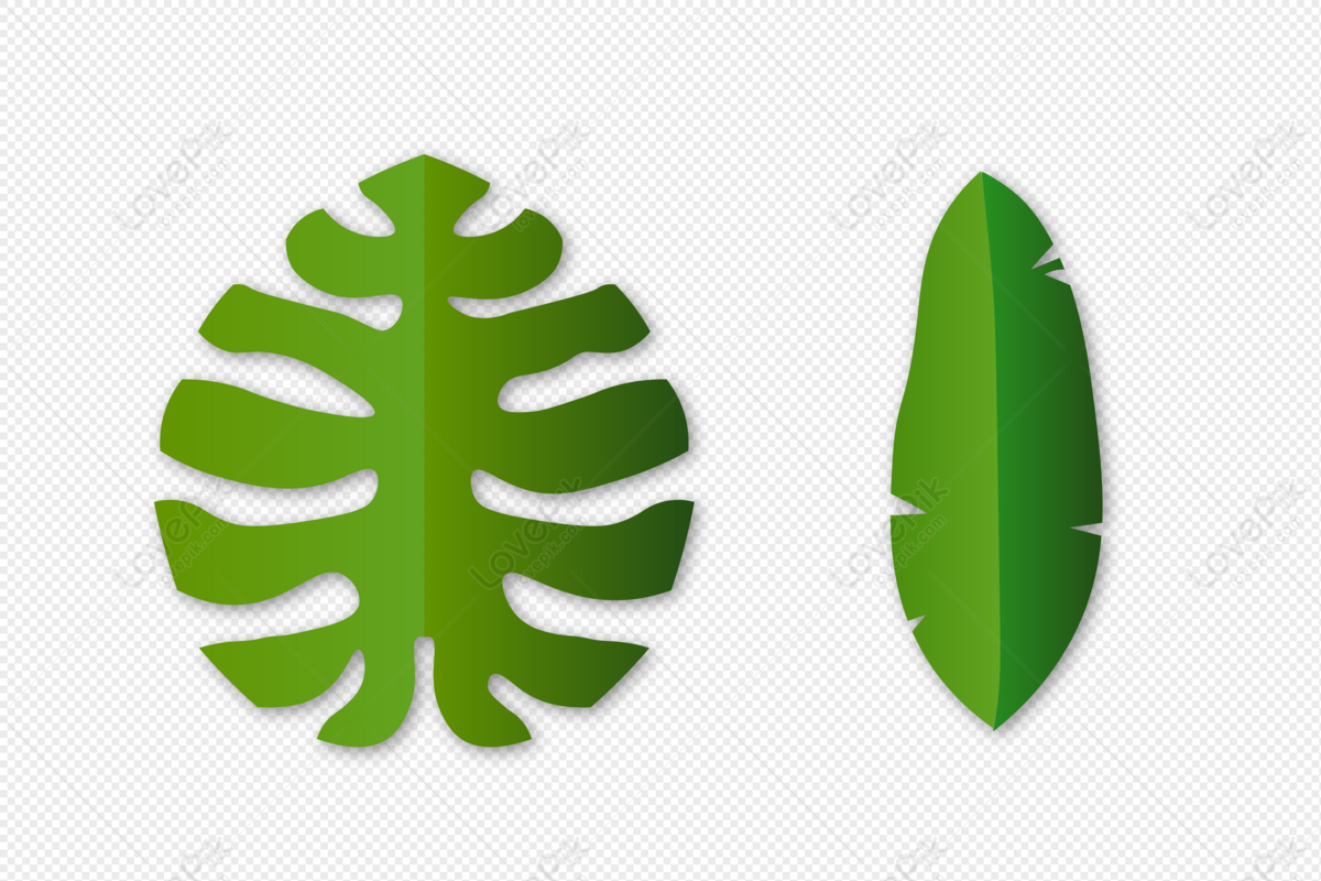 evergreen leaves clipart