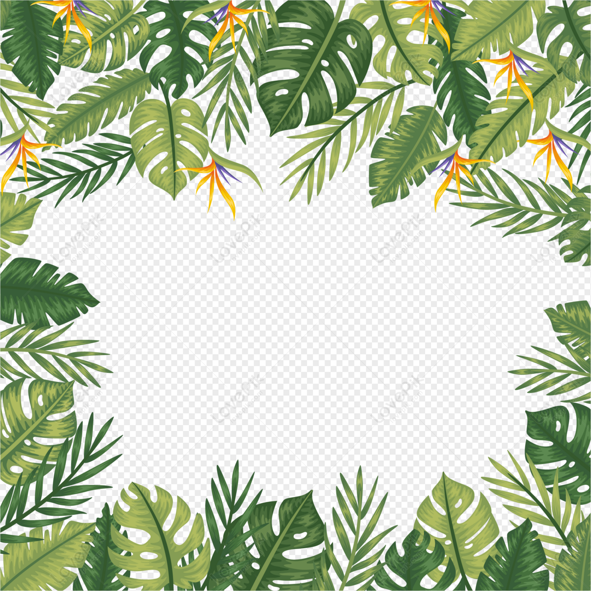 Green Plant Border PNG White Transparent And Clipart Image For Free ...