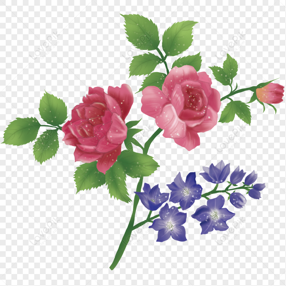 Illustration Of Roses Free PNG And Clipart Image For Free Download ...