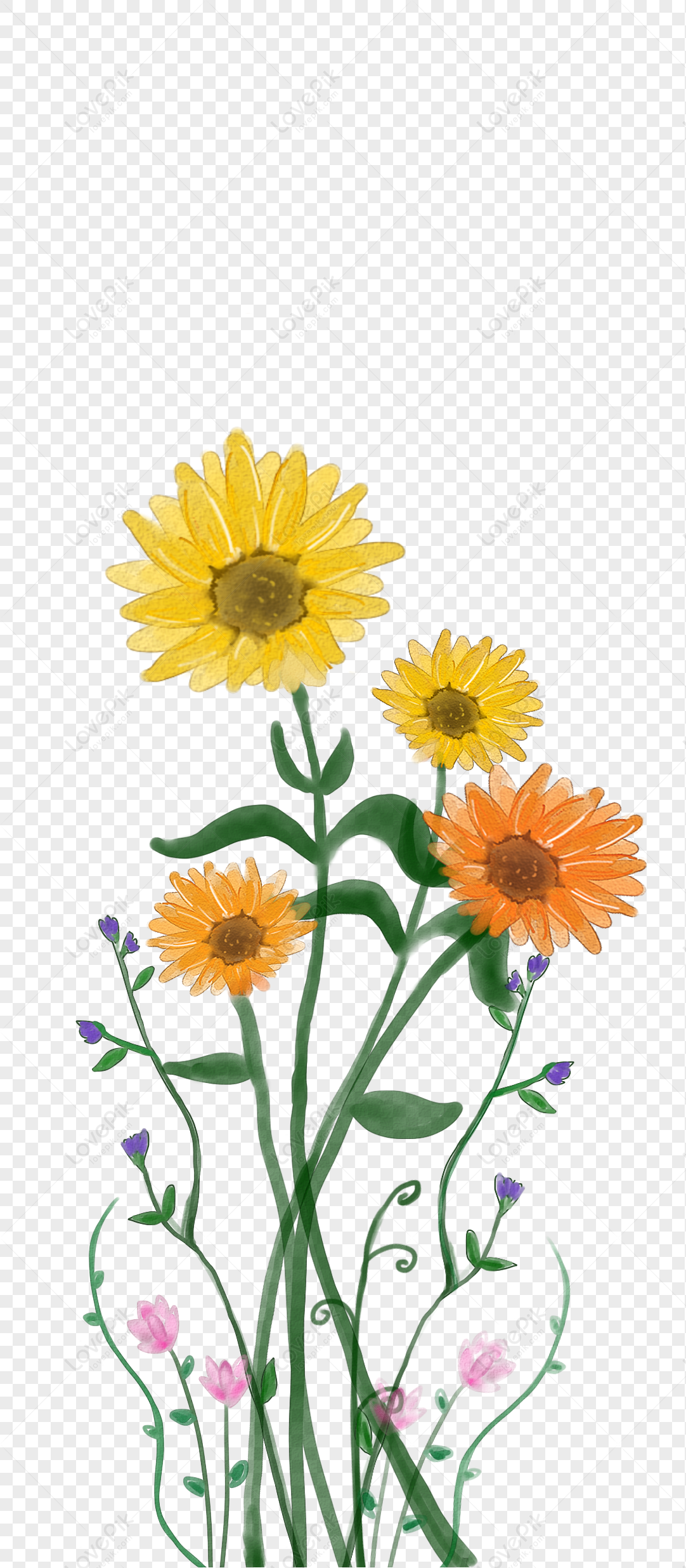 Girasol Ilustración PNG Imágenes Gratis - Lovepik