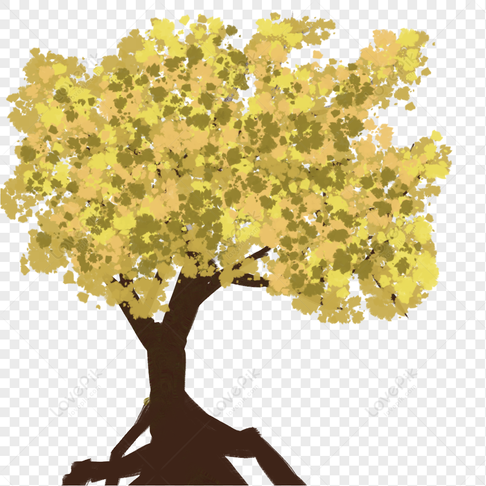 Yellow Tree, Leaves Tree, Cartoon Tree, Autumn Yellow PNG Transparent ...