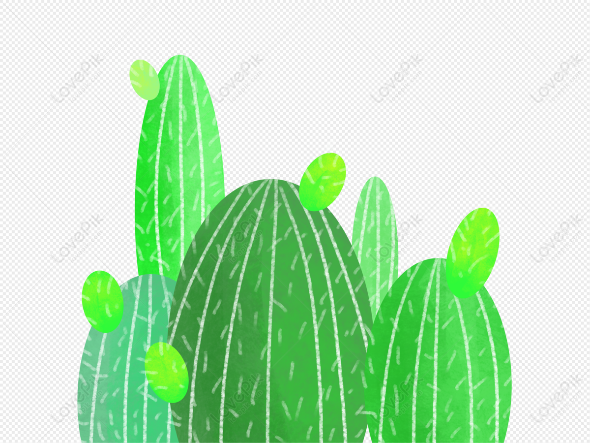 Dibujos Animados Pintados A Mano Cactus Verde Planta Ilustración PNG  Imágenes Gratis - Lovepik