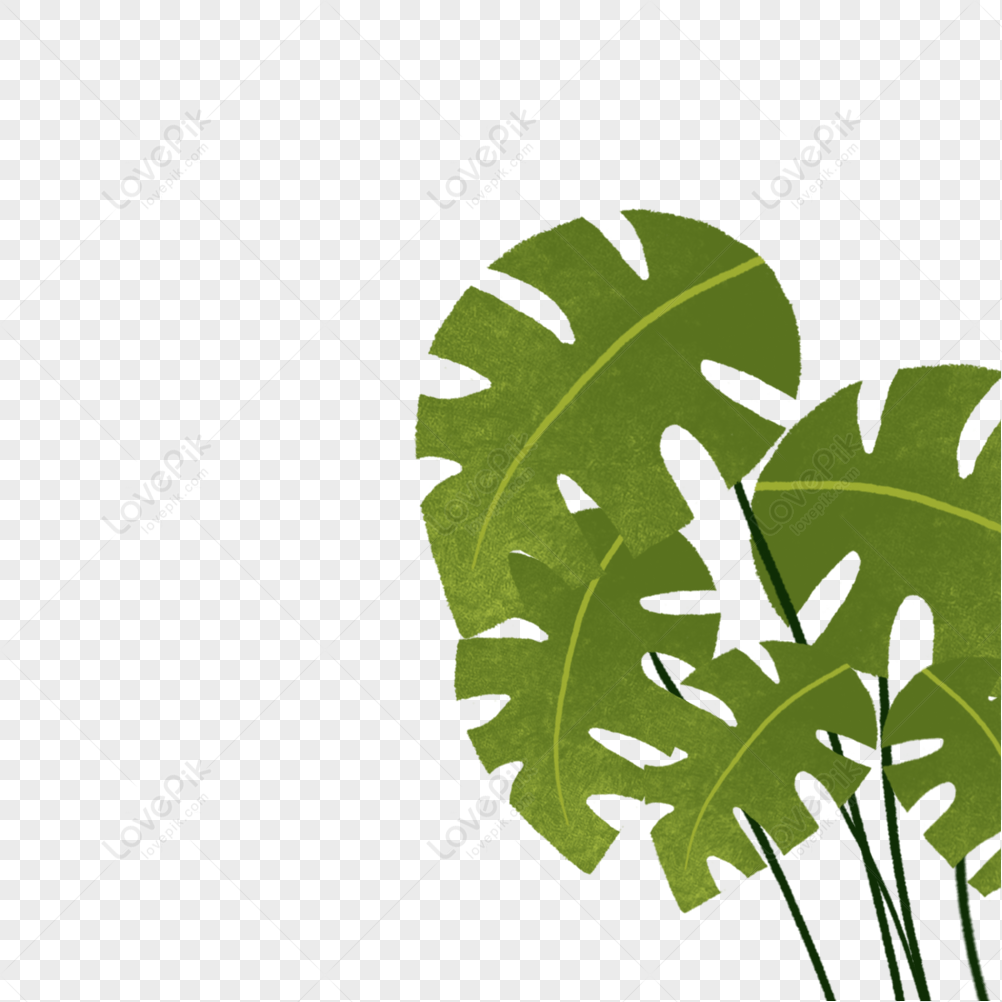 Healing Green Plant Materials Image PNG Picture And Clipart Image For ...