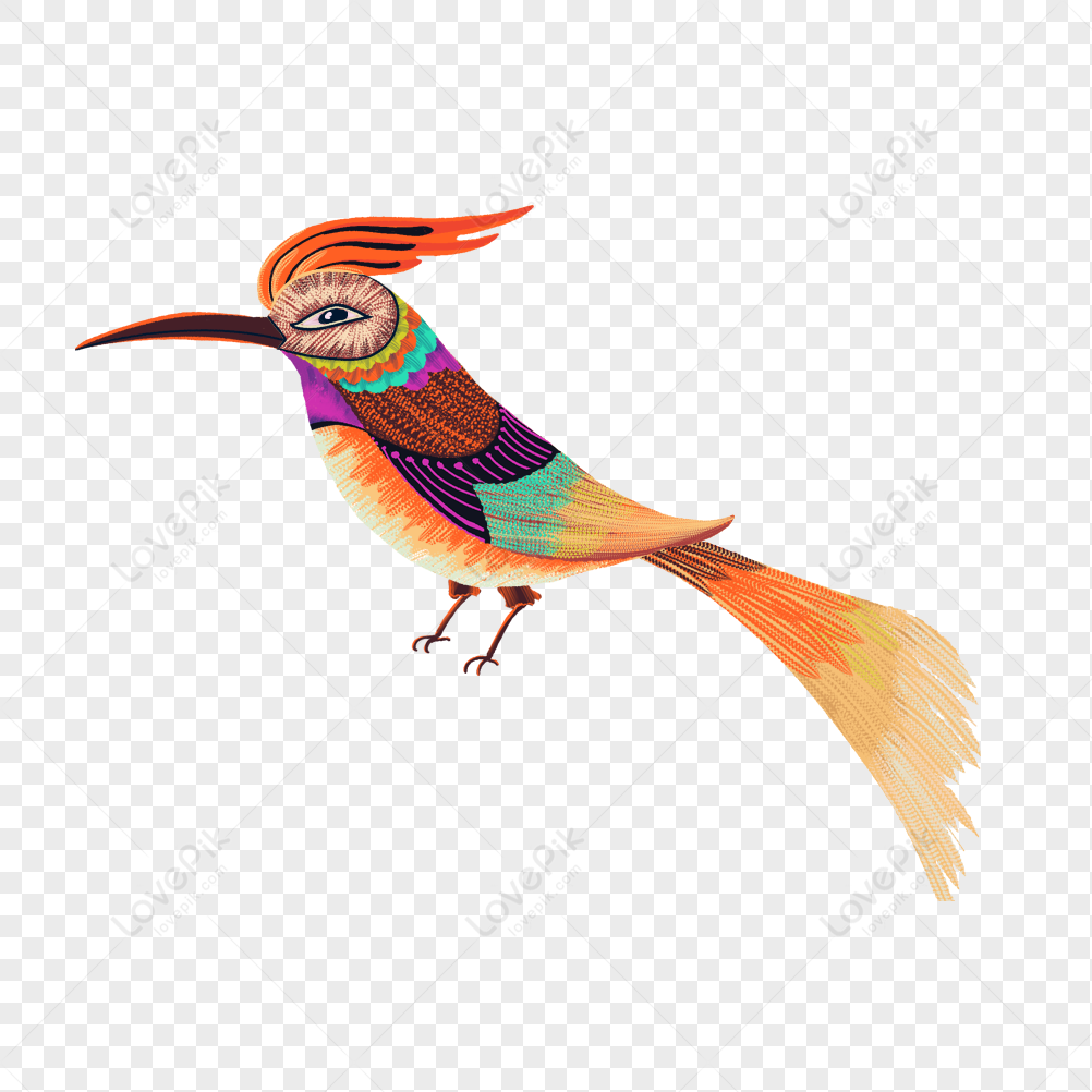 Little Bird PNG Transparent And Clipart Image For Free Download ...