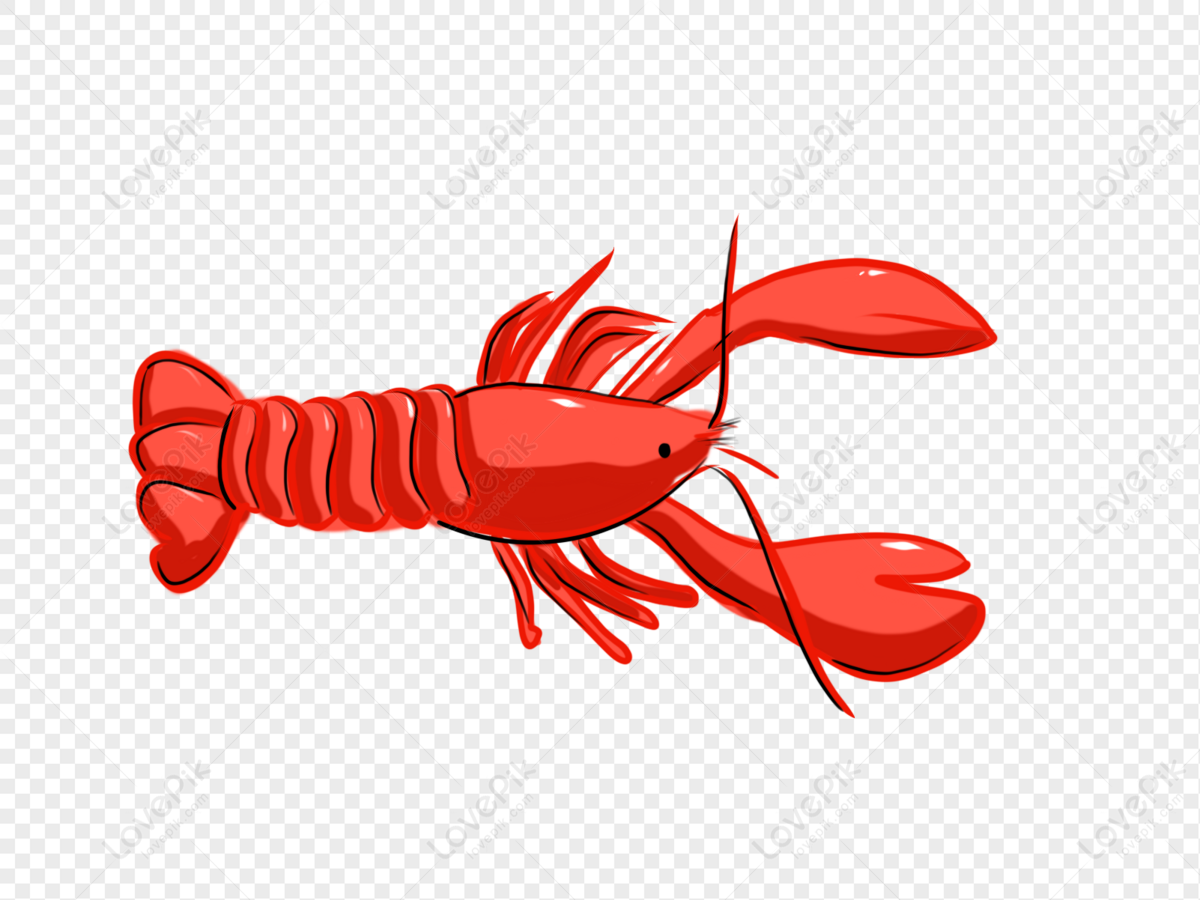 Lobster Free PNG And Clipart Image For Free Download - Lovepik | 401146199