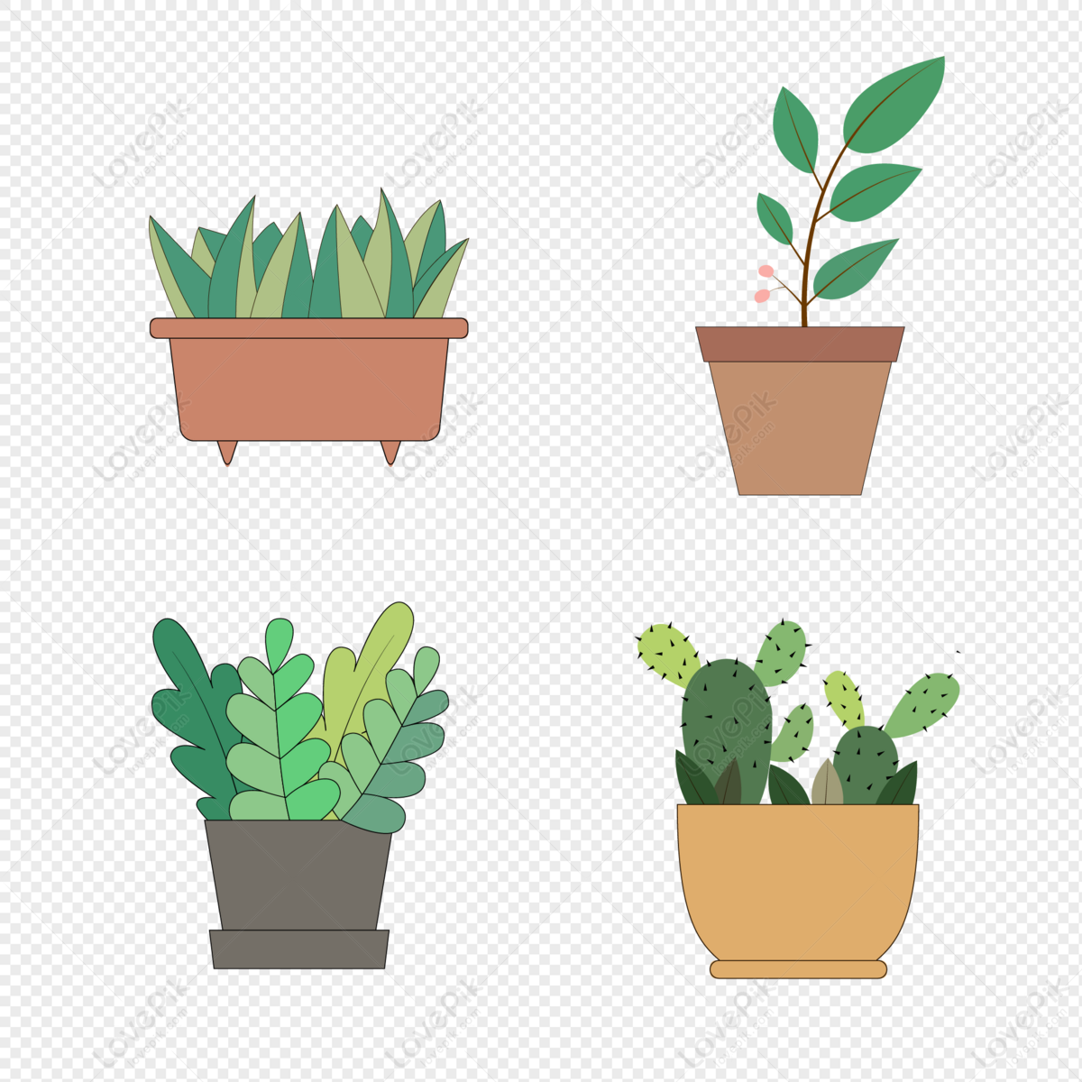 Plant Material, Brown Dark, Cactus Potted, Green Light PNG Transparent ...