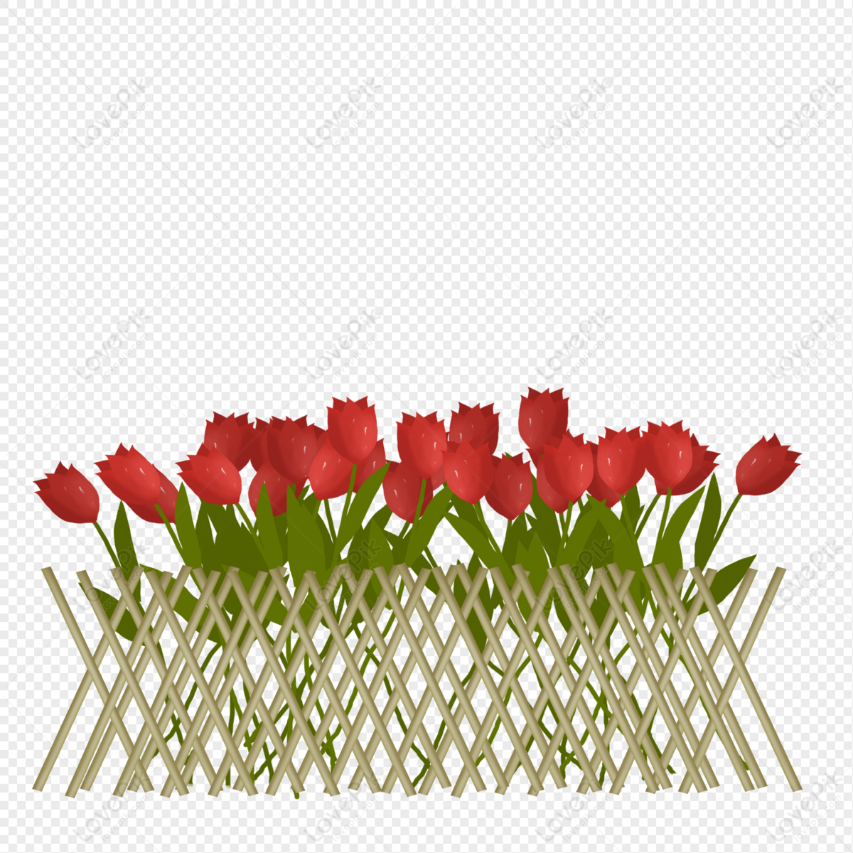 Flower Fence Flower White Flower Tulip Flower Tulips Png Transparent Background And Clipart