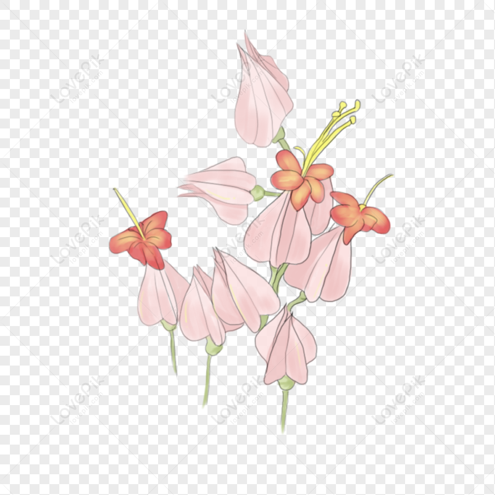 Hermosas Flores Rosas PNG Imágenes Gratis - Lovepik