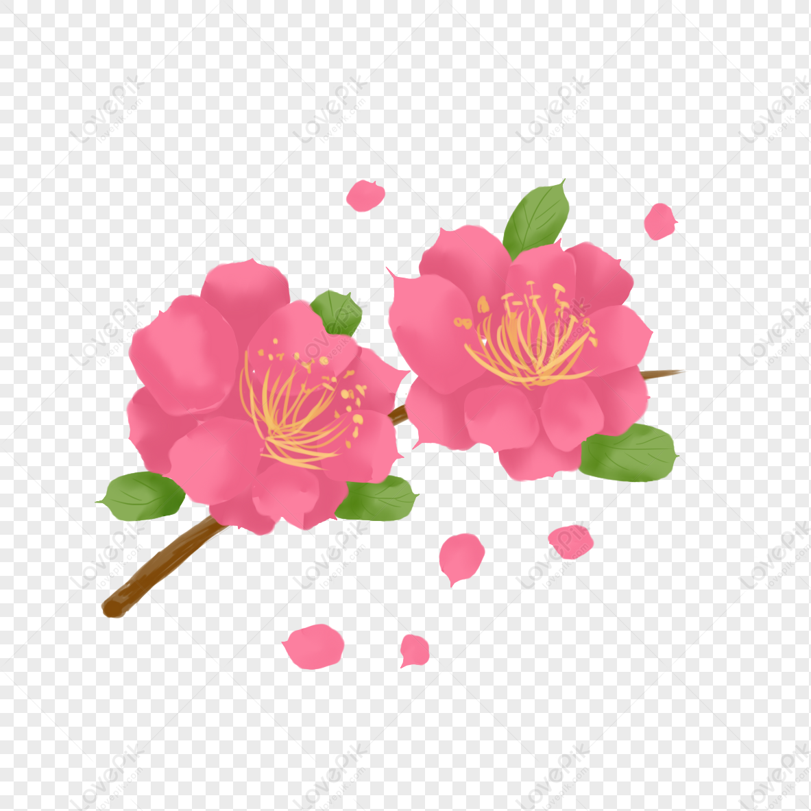 Red Hand Painted Flowers PNG Transparent Background And Clipart Image ...