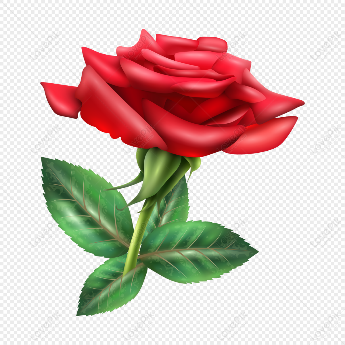 Vector Rose PNG Picture And Clipart Image For Free Download ...