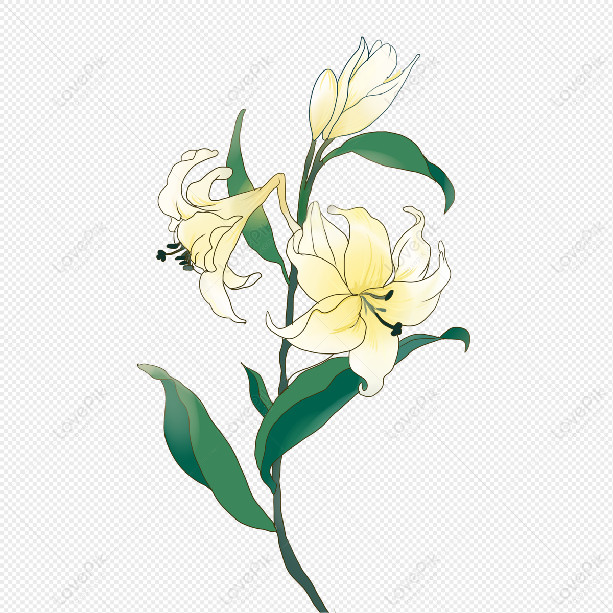 Illustration Yellow Flower, Flowers Yellow, Light Yellow, Flower White ...