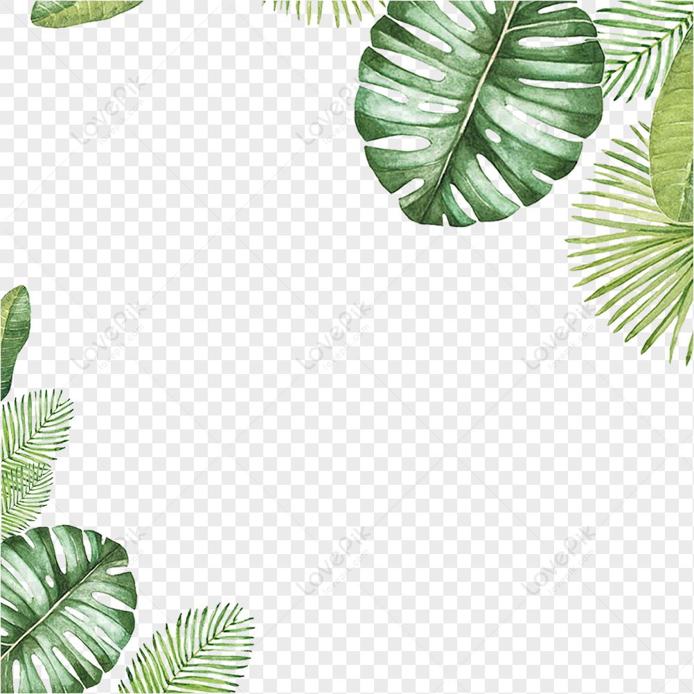 Illustrator Leaf Combination, Green Watercolor, Leaves Vector, Frame ...