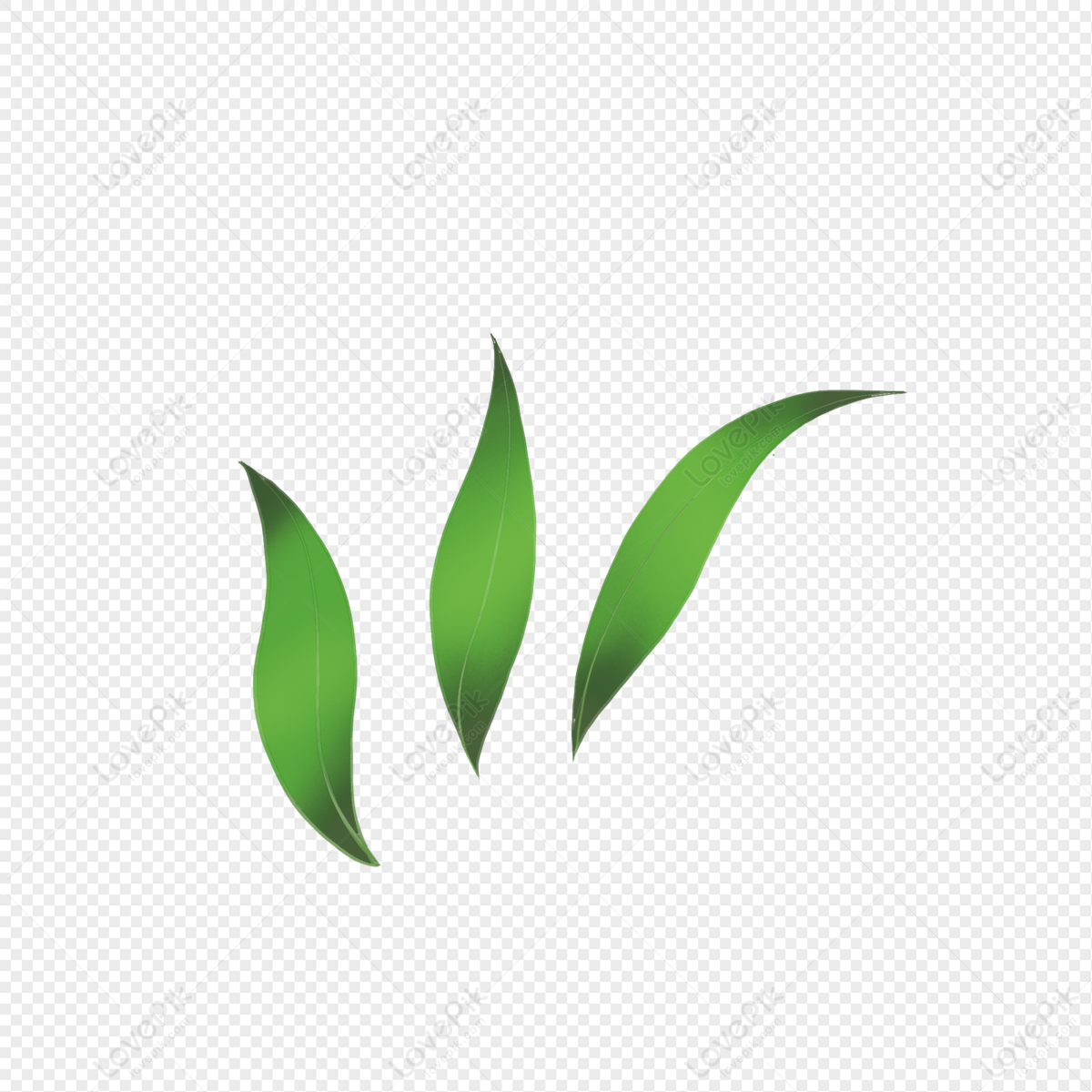 3 Leaf PNG Transparent Images Free Download | Vector Files | Pngtree