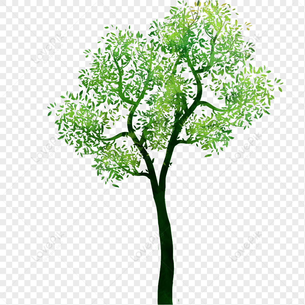 This is tree tree is green. Дерево с бело зеленым срезом.